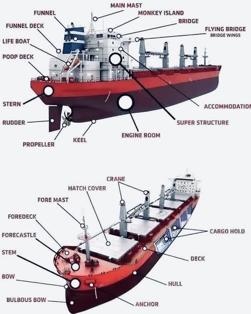 The Ship Hull: Why the "Unsung Hero" Deserves the Spotlight Officers Maritime Academy